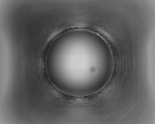 X0000113921160200909241524