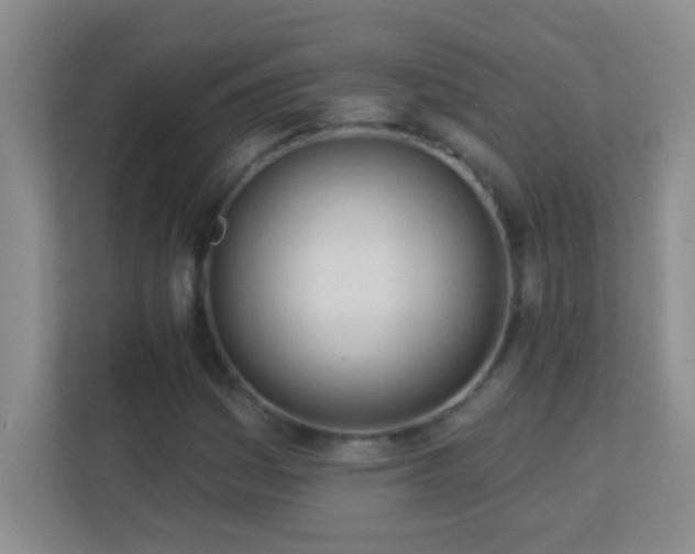 X0000113921161200909241524