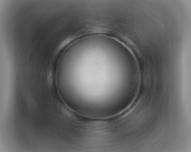 X0000113921163200909241524