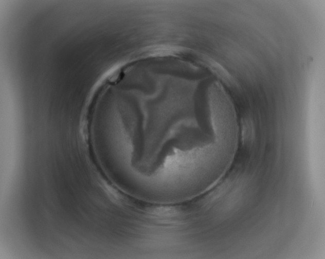 X0000113921164200909241524