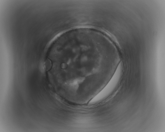 X0000113921167200909241524