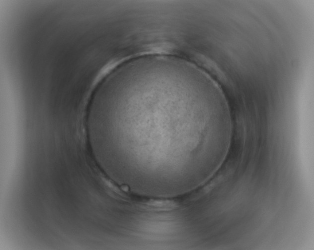 X0000113921168200909241524