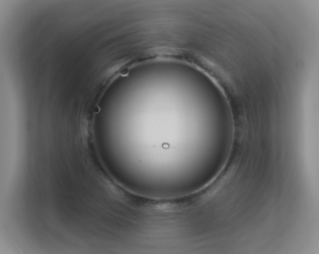 X0000113921169200909241524