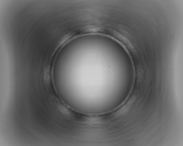 X0000113921170200909241524