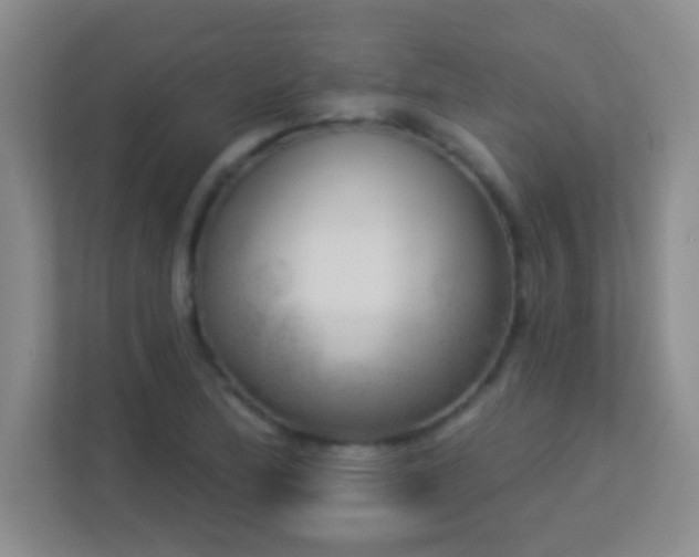 X0000113921172200909241524