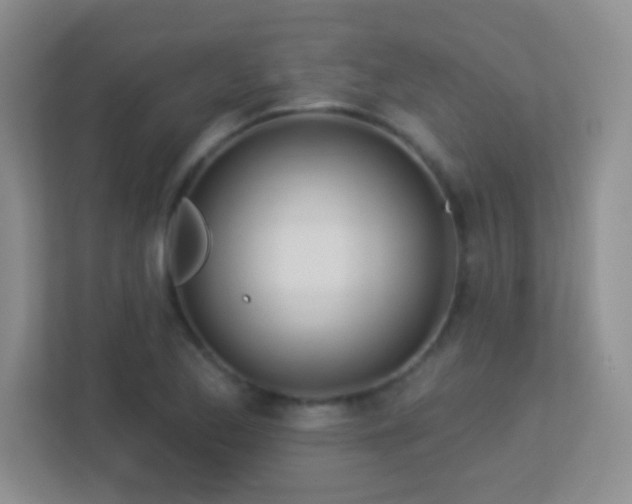 X0000113921173200909241524