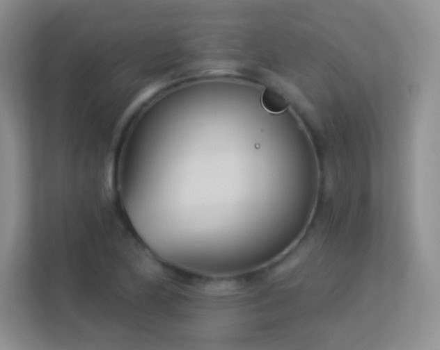 X0000113921174200909241524