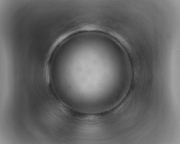 X0000113921175200909241524