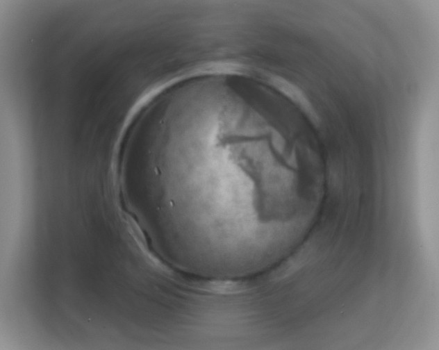 X0000113921176200909241524