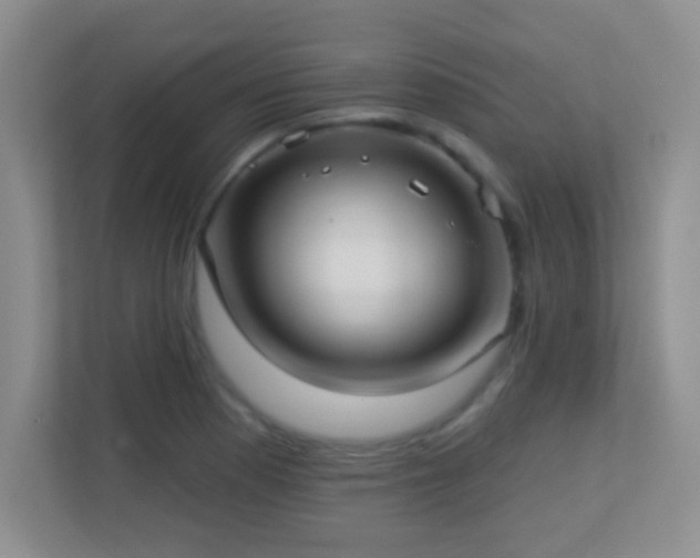 X0000113921177200909241524