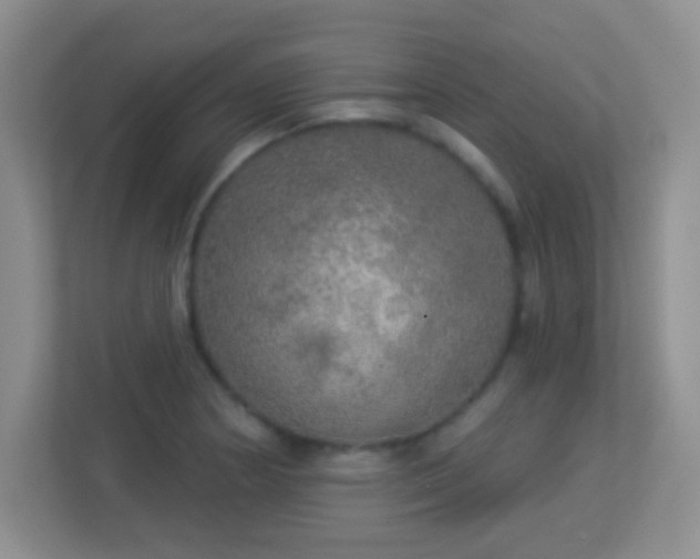 X0000113921178200909241524