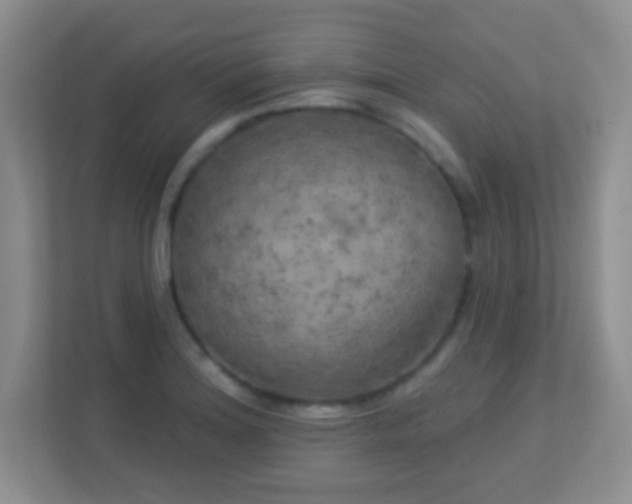 X0000113921180200909241524