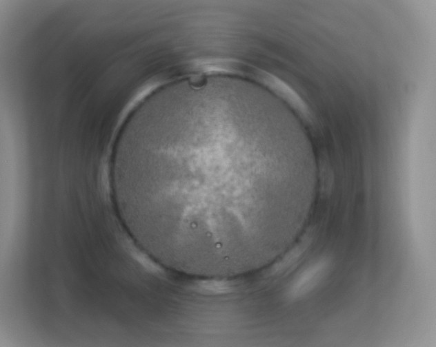 X0000113921182200909241524