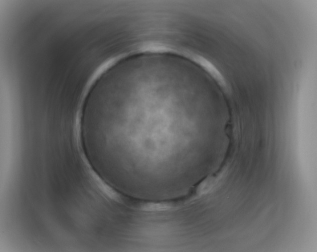 X0000113921183200909241524