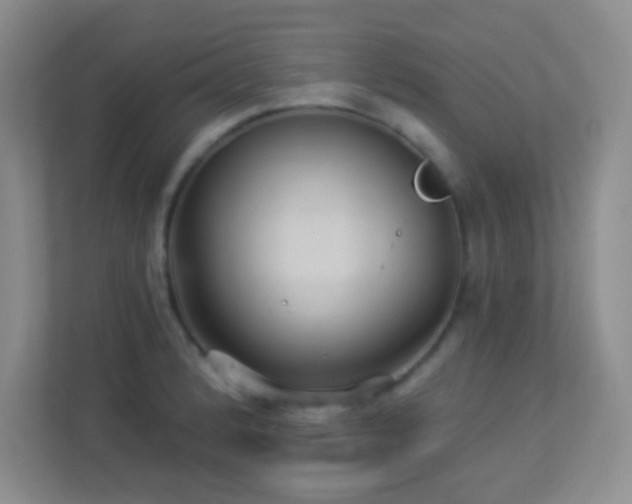 X0000113921184200909241523