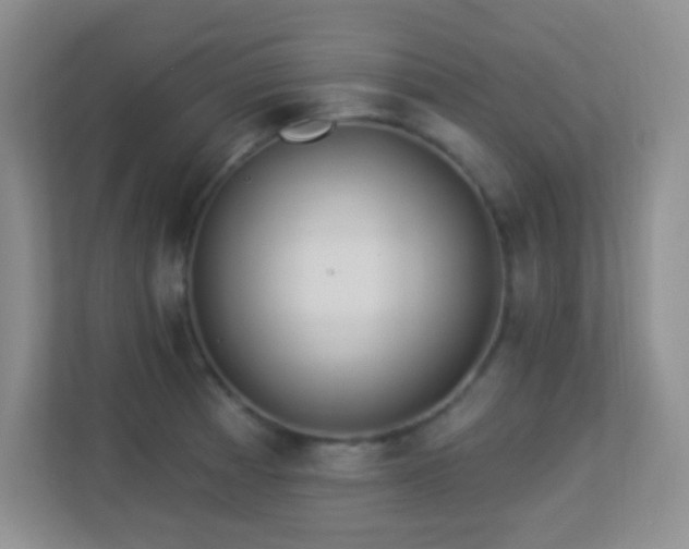 X0000113921185200909241523