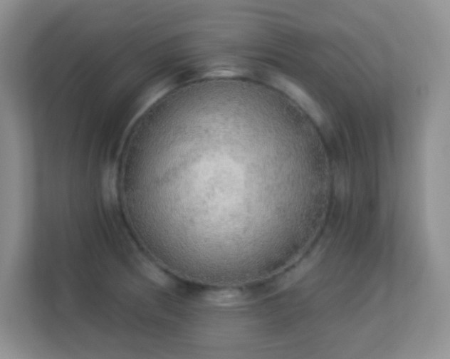 X0000113921186200909241523