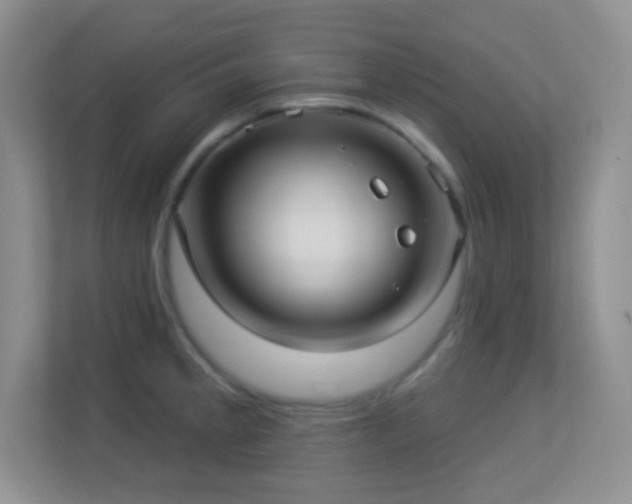 X0000113921189200909241523