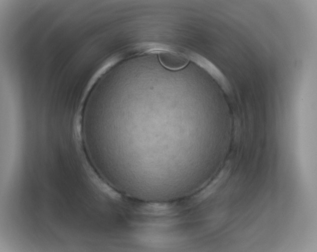 X0000113921190200909241523