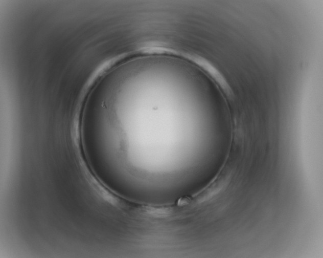 X0000113921191200909241523