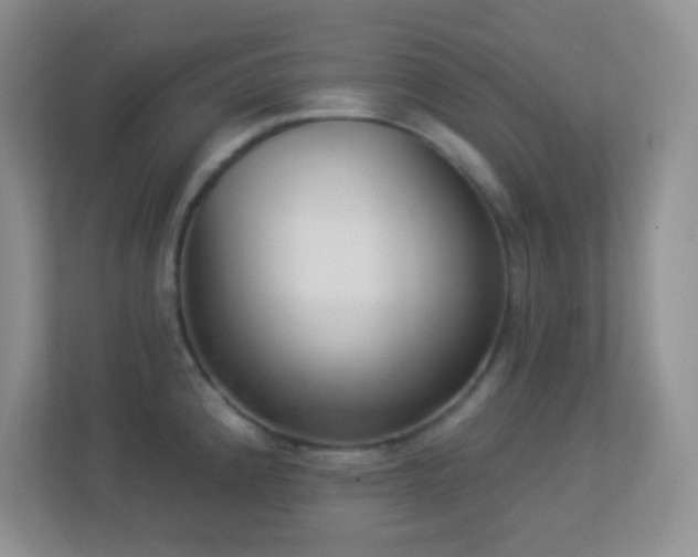 X0000113921192200909241523