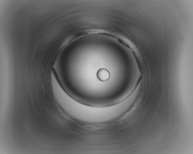 X0000113921193200909241523