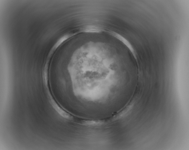 X0000113921195200909241523