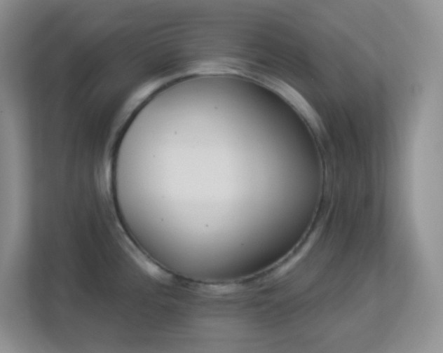 X0000113921196200909241523