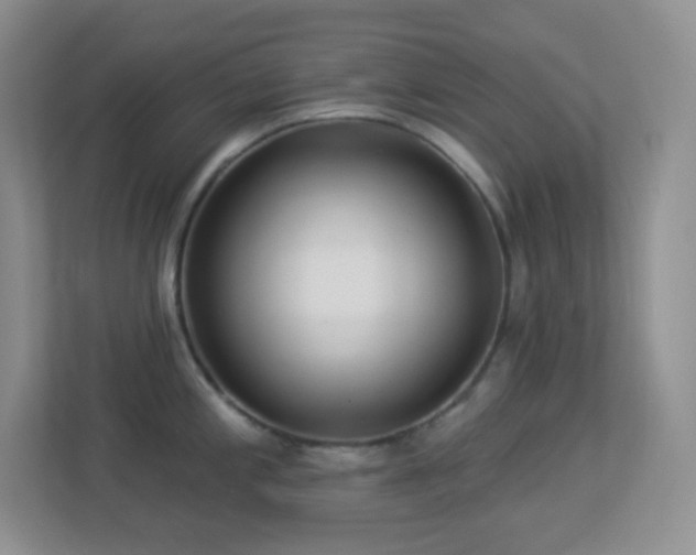 X0000113921197200909241523