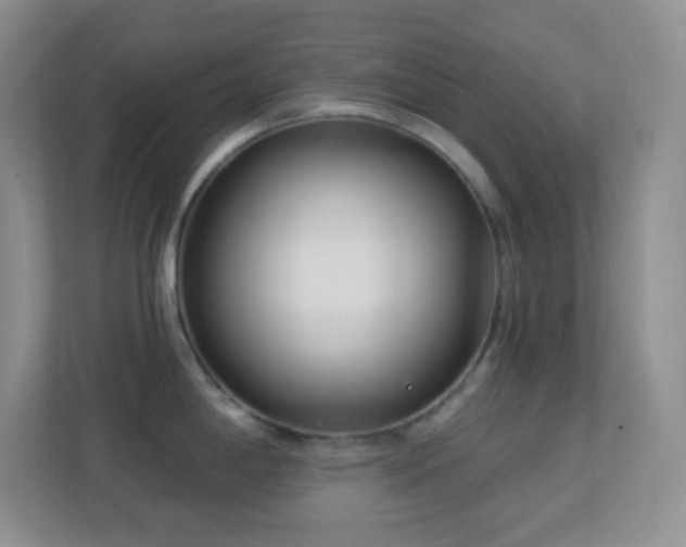 X0000113921198200909241523