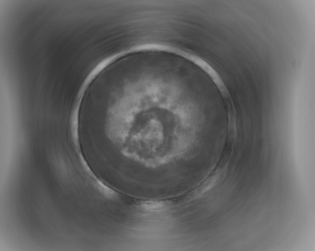 X0000113921199200909241523