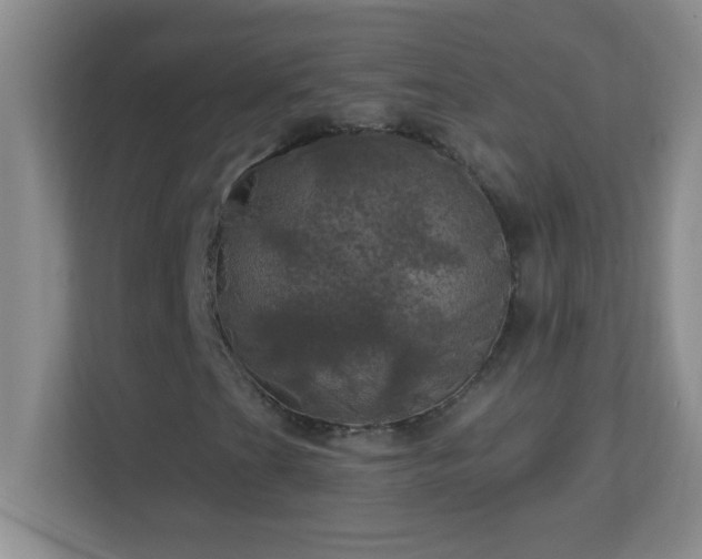 X0000113921201200909241523