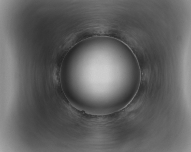 X0000113921202200909241523