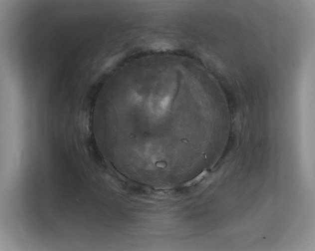 X0000113921205200909241523