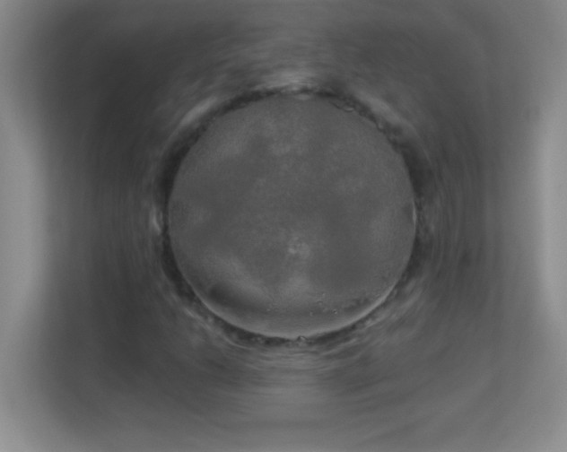 X0000113921206200909241523