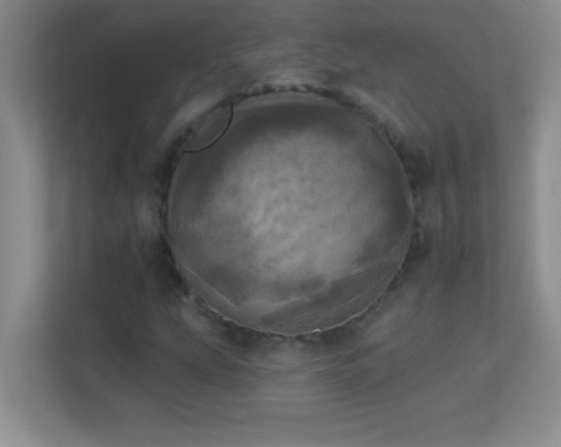 X0000113921207200909241523