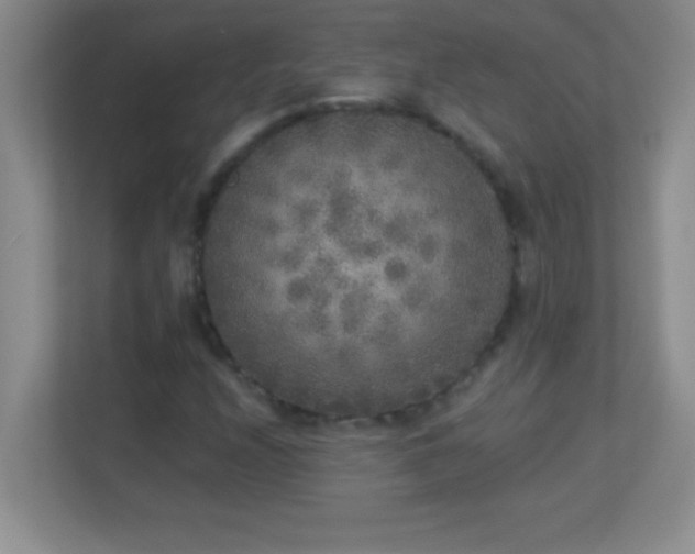 X0000113921208200909241523