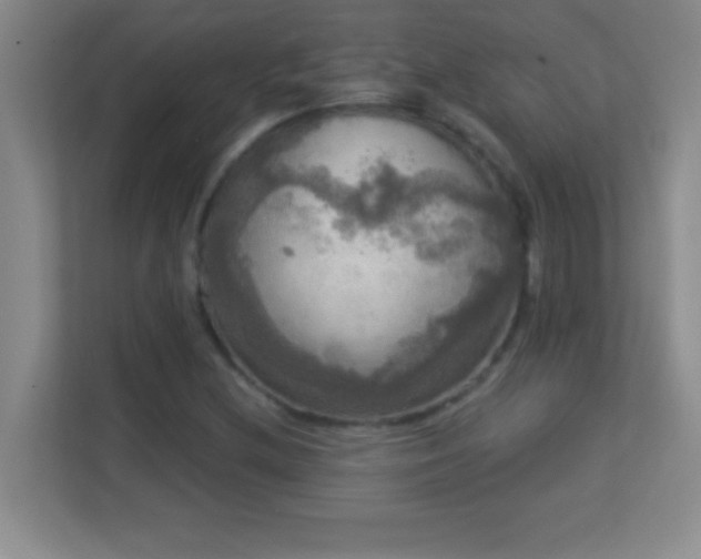 X0000113921212200909241523