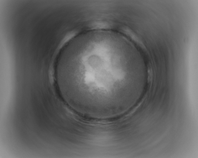 X0000113921213200909241523