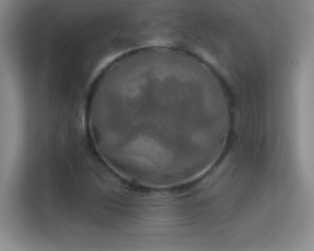 X0000113921214200909241523