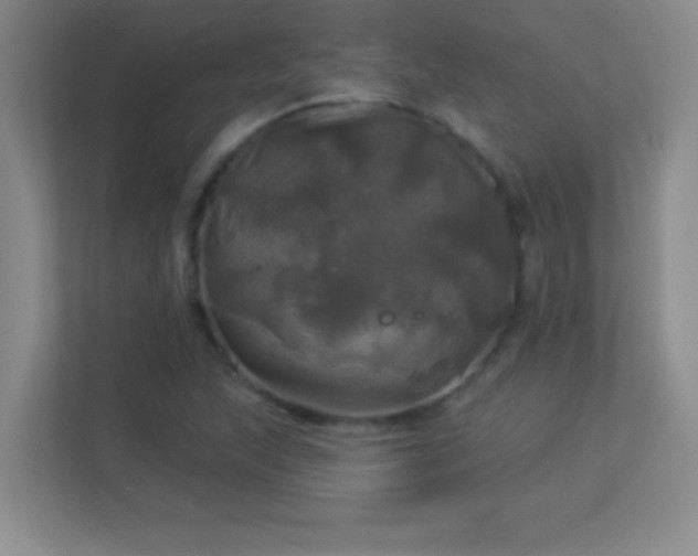 X0000113921215200909241523