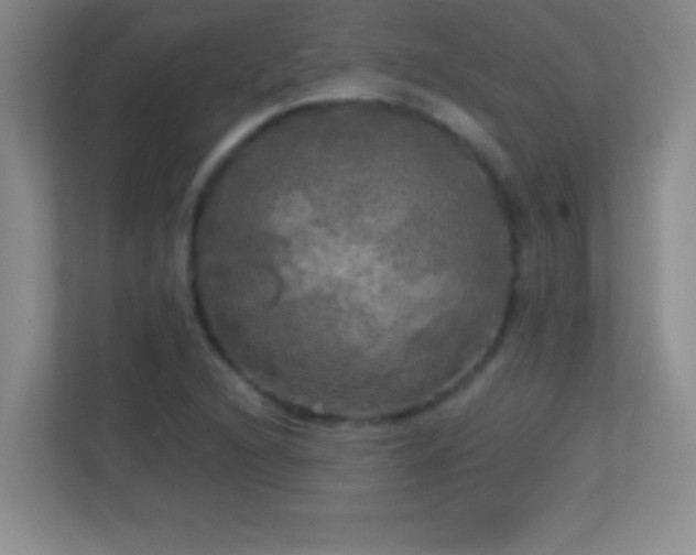 X0000113921216200909241523