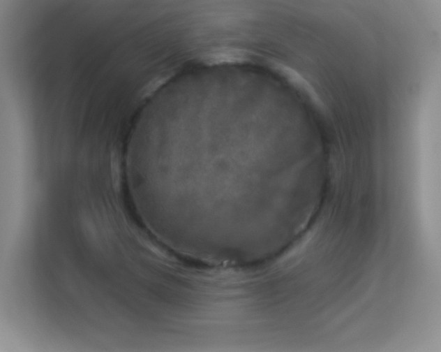 X0000113921217200909241523