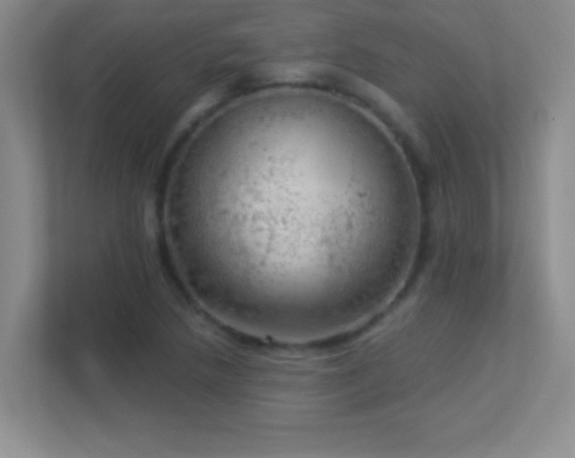 X0000113921218200909241523