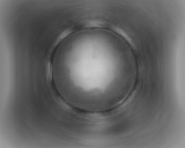 X0000113921219200909241523