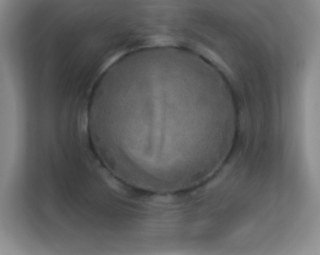 X0000113921220200909241523