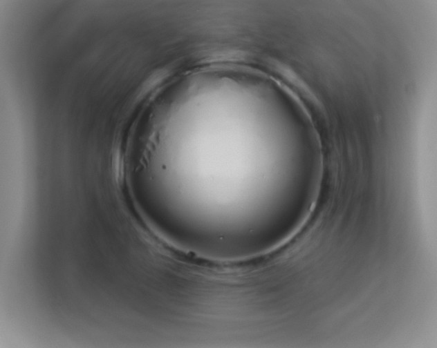 X0000113921221200909241523