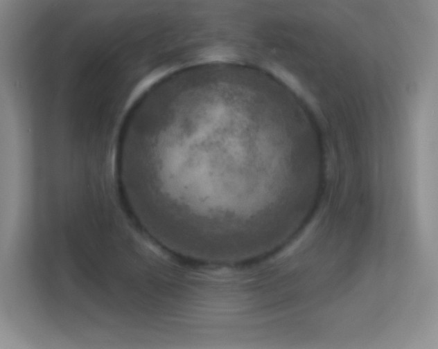 X0000113921222200909241523