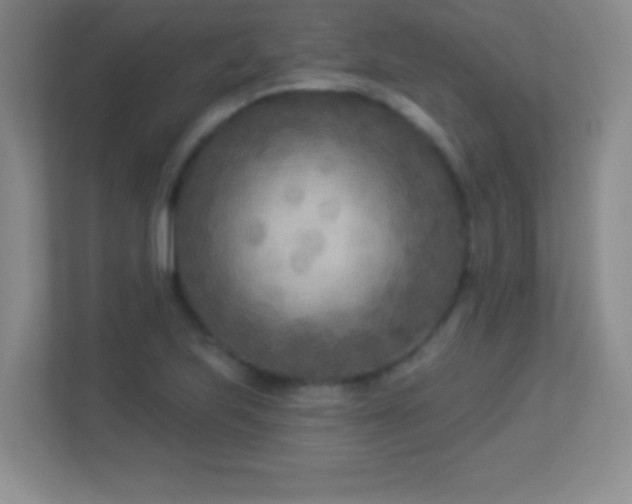 X0000113921223200909241523