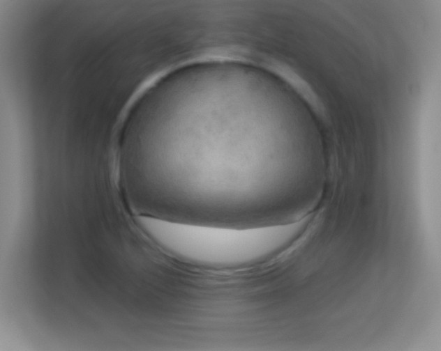 X0000113921224200909241523